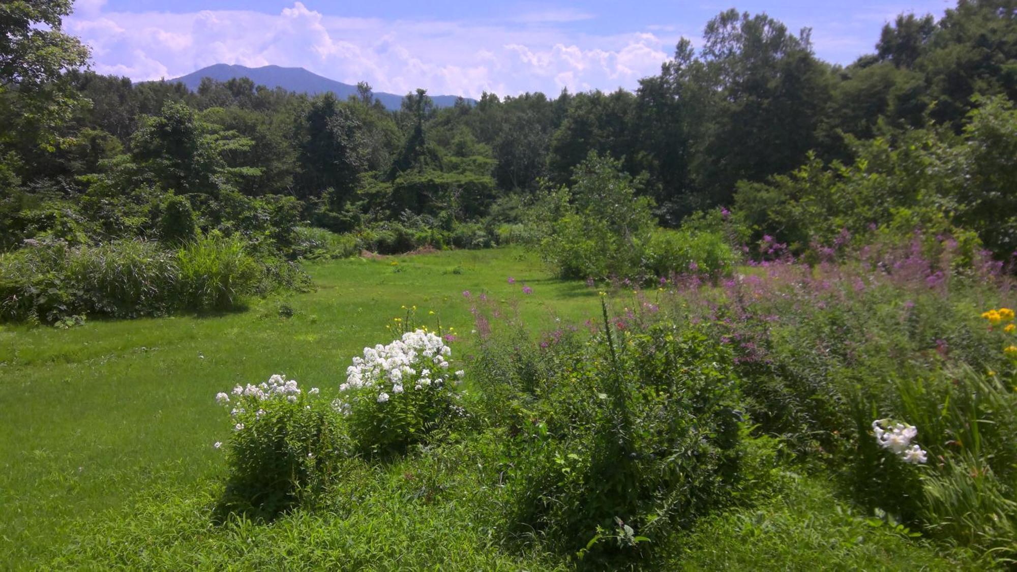 Lodge Amenouo Myoko Zewnętrze zdjęcie